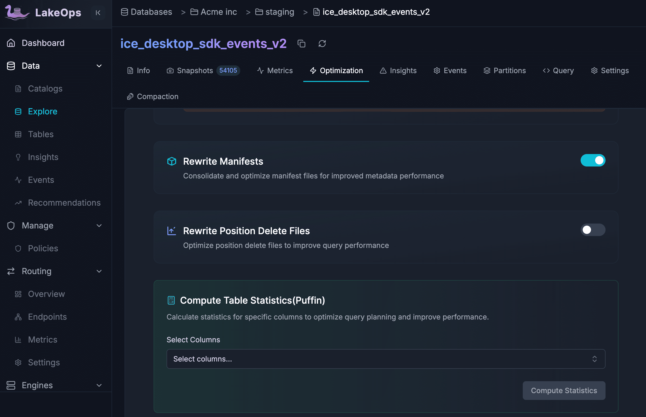 Rewrite Manifests, Position Delete Files, and Puffin Statistics controls